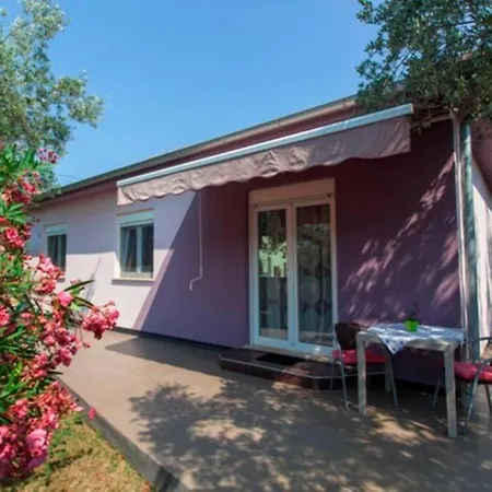 House Pelini * 풀라